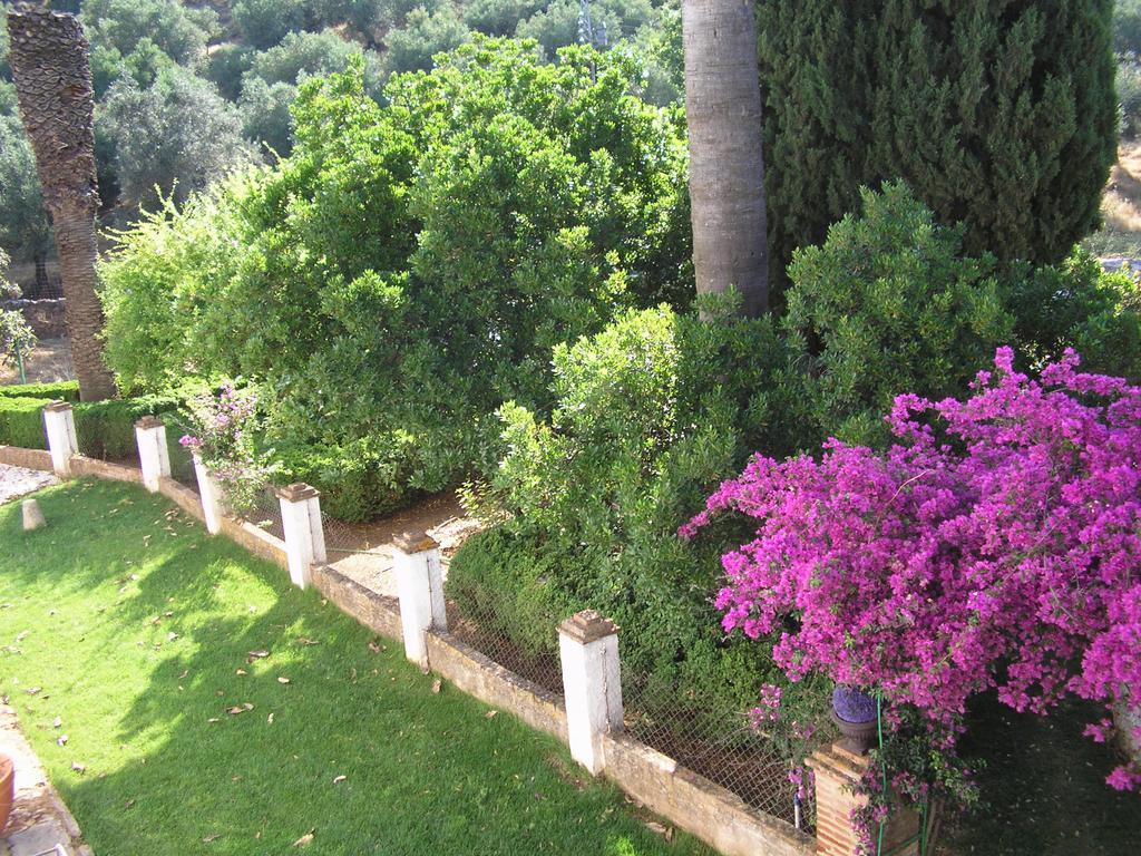 Finca La Favorita- Suites (Adults Only) Constantina Exterior photo