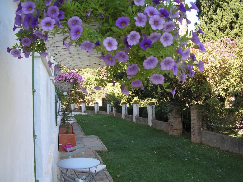 Finca La Favorita- Suites (Adults Only) Constantina Exterior photo